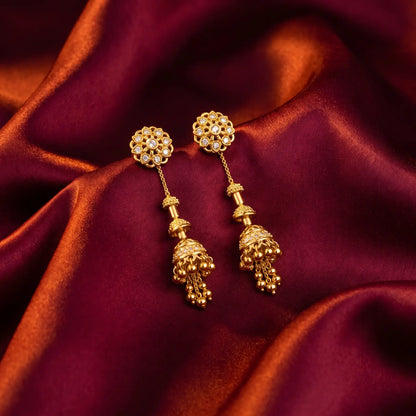 Fancy Earrings - Sui Dhaga 2